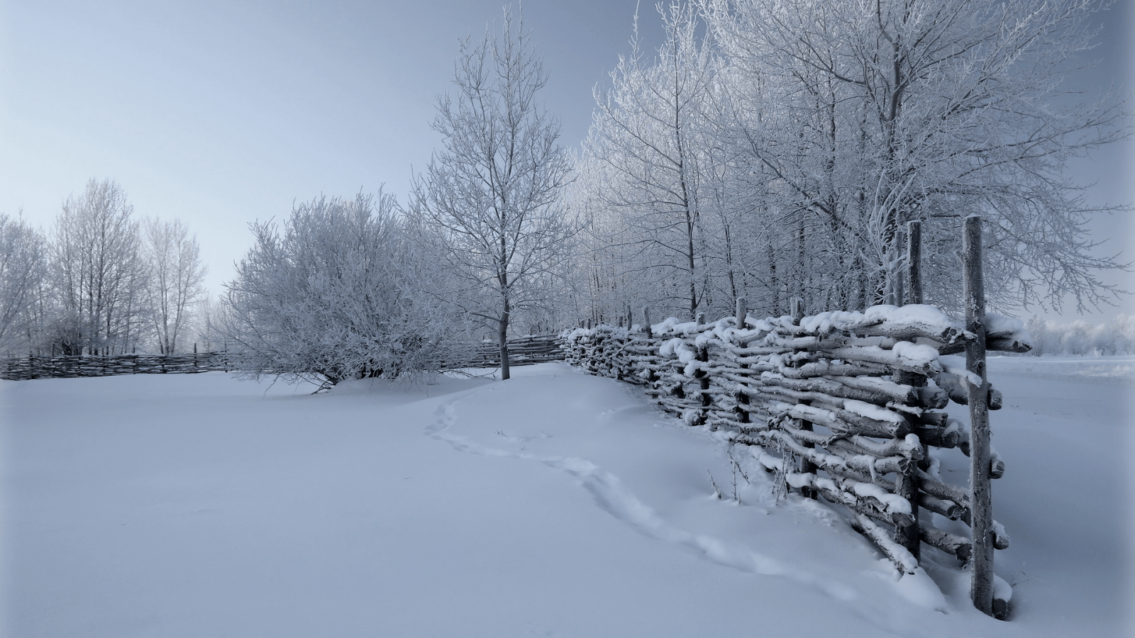 1600x900 White House Winter Wallpaper