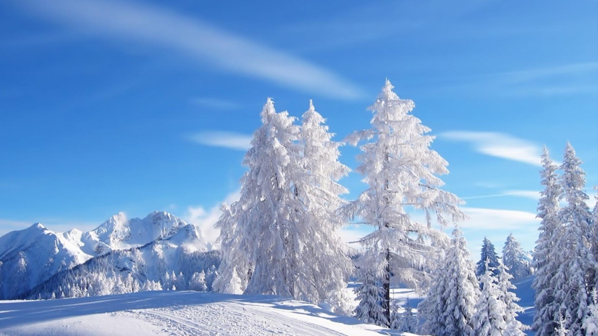 1920x1080 White Winter Wallpaper for Deskx1080 Full HD
