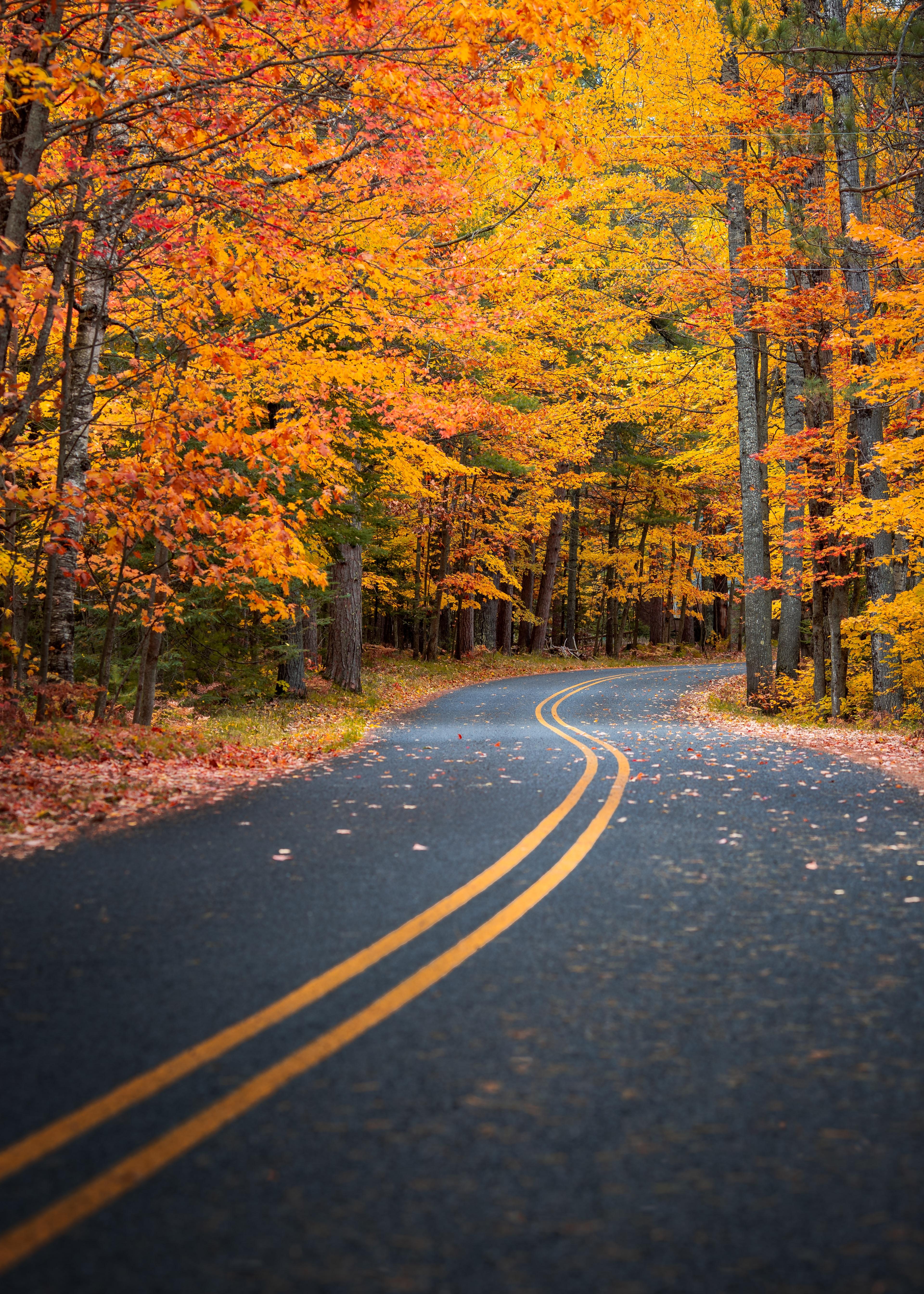 Nature Road Wallpapers - Top Free Nature Road Backgrounds - WallpaperAccess