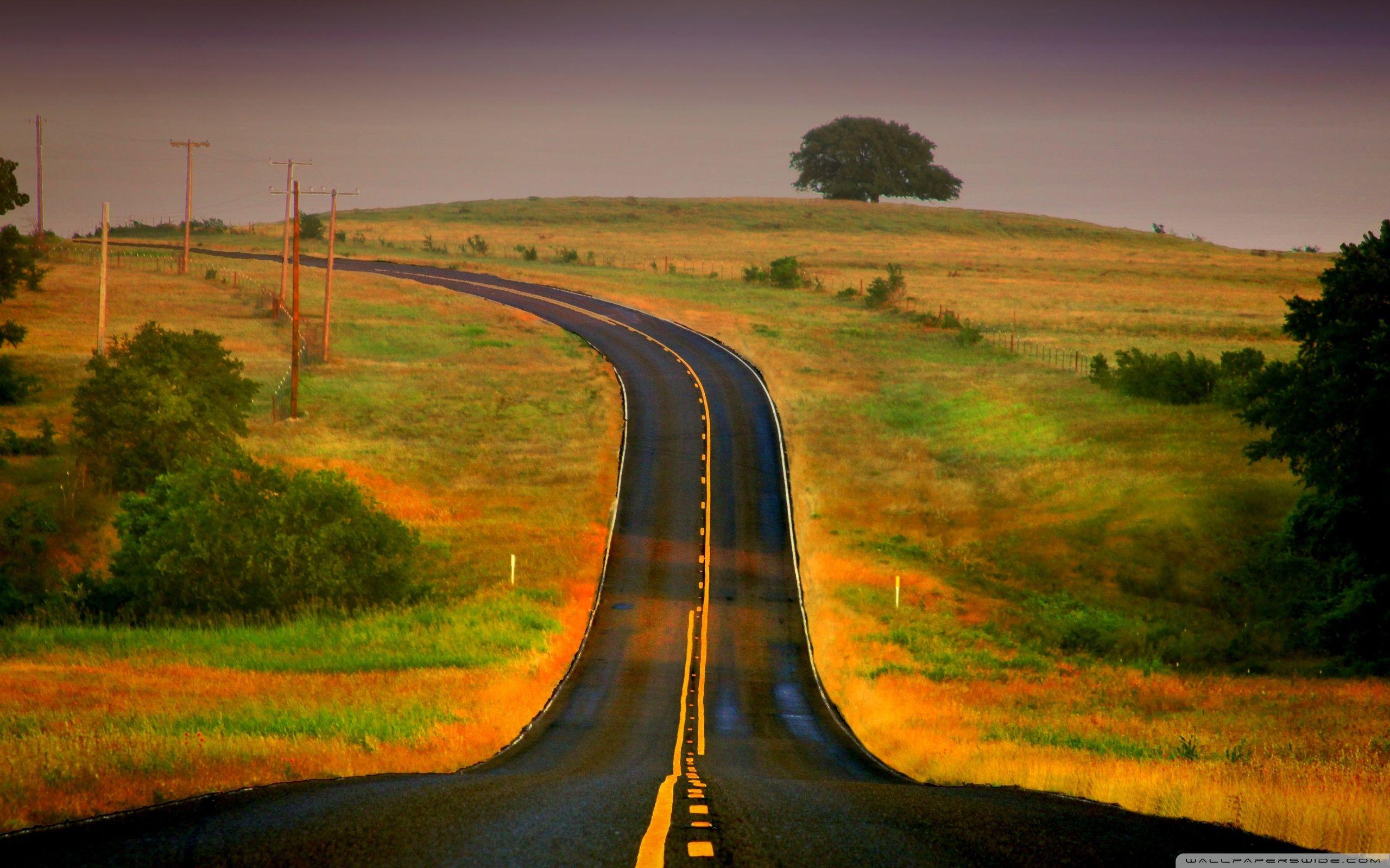 True road. Извилистая тропа уходящая в даль. Дорога в даль. Пейзаж с дорогой. Красивые дороги.