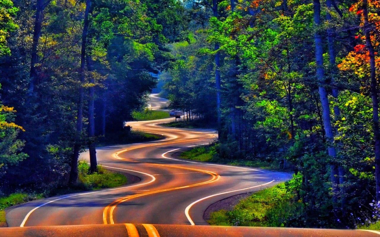 1280x800 Road wallpaper, trees, forest, grass, street, nature, landscape • Wallpaper For You HD Wallpaper For Desktop & Mobile