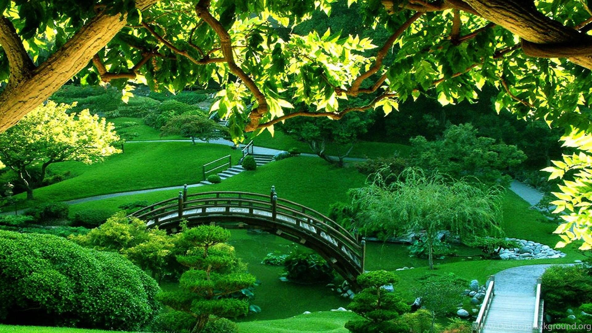 1920x1080 Beautiful Garden Wallpaper By Felicia Wert On FL Desktop Background