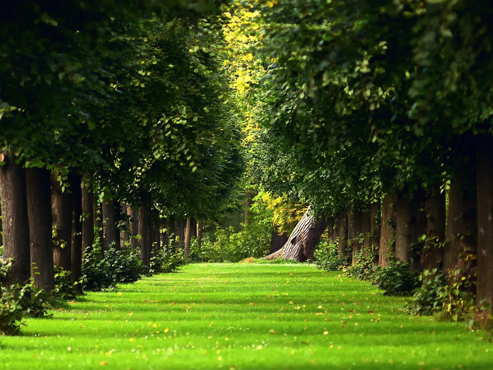 1600x1200 Beautiful Garden HD Wallpaper for Desktop