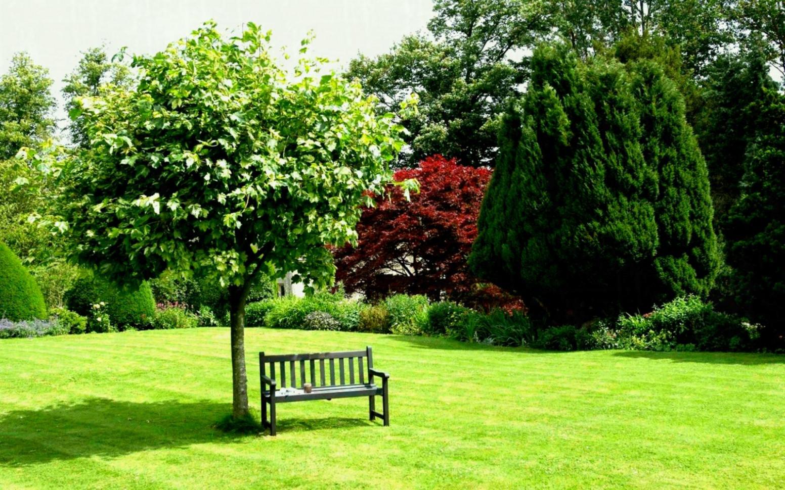 1552x970 Garden HD Wallpaper