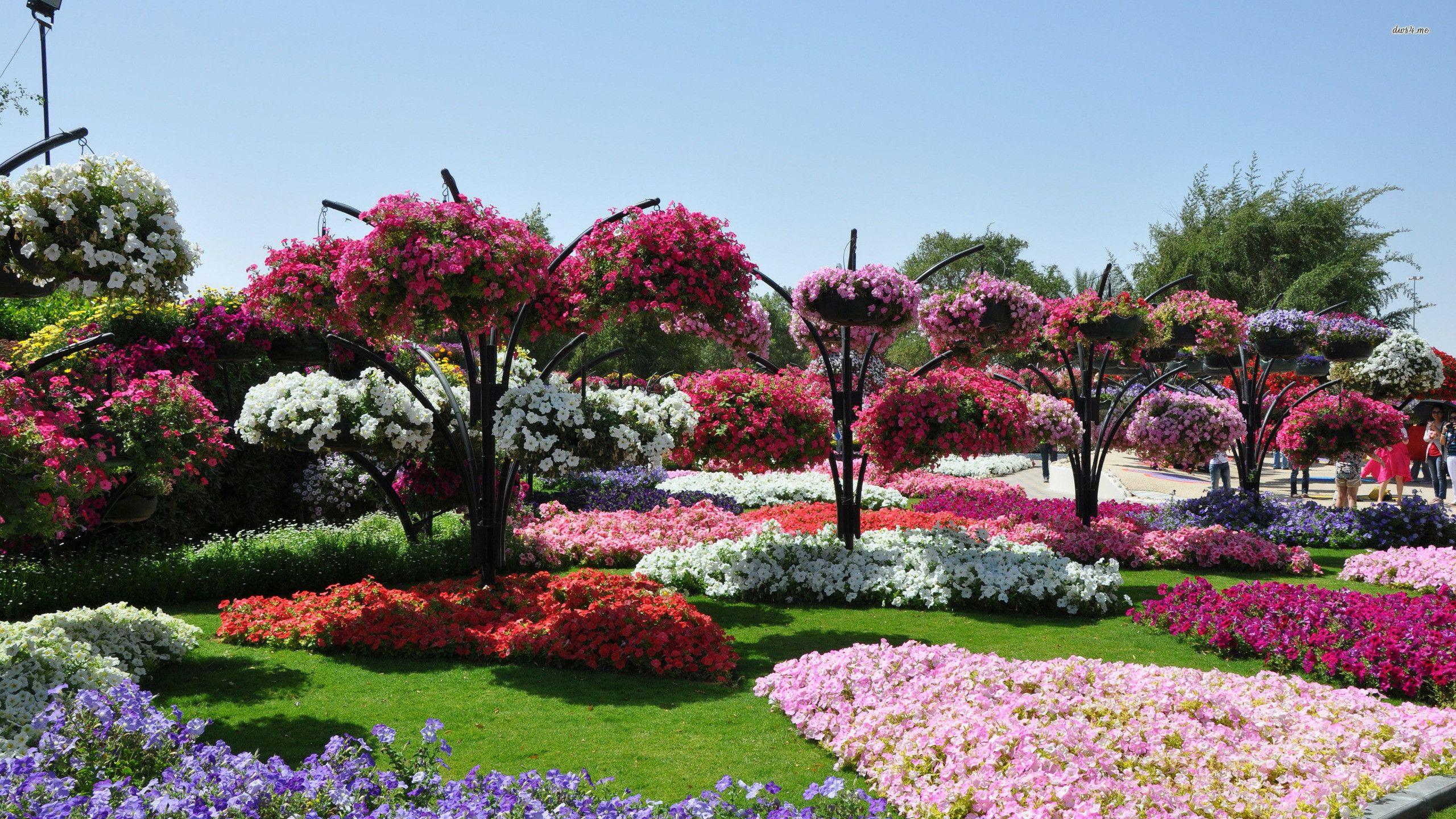 2560x1440 Beach Flower Garden Wallpaper, HD Beach Flower Garden Background on WallpaperBat
