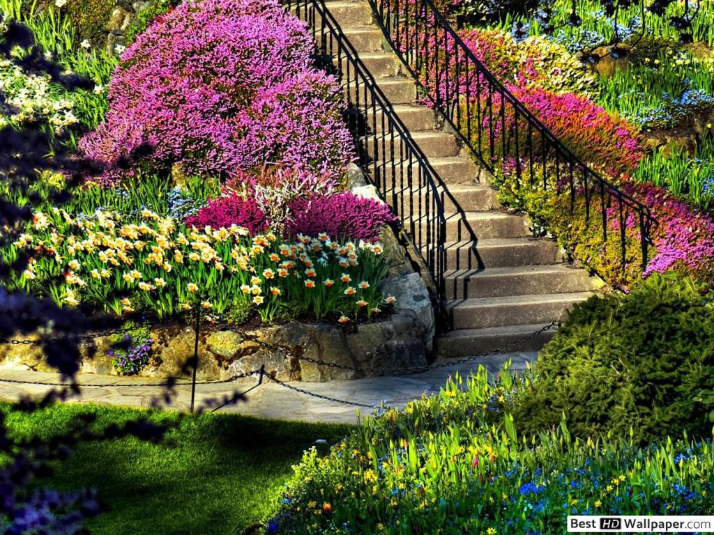 1024x768 Beautiful garden HD wallpaper download