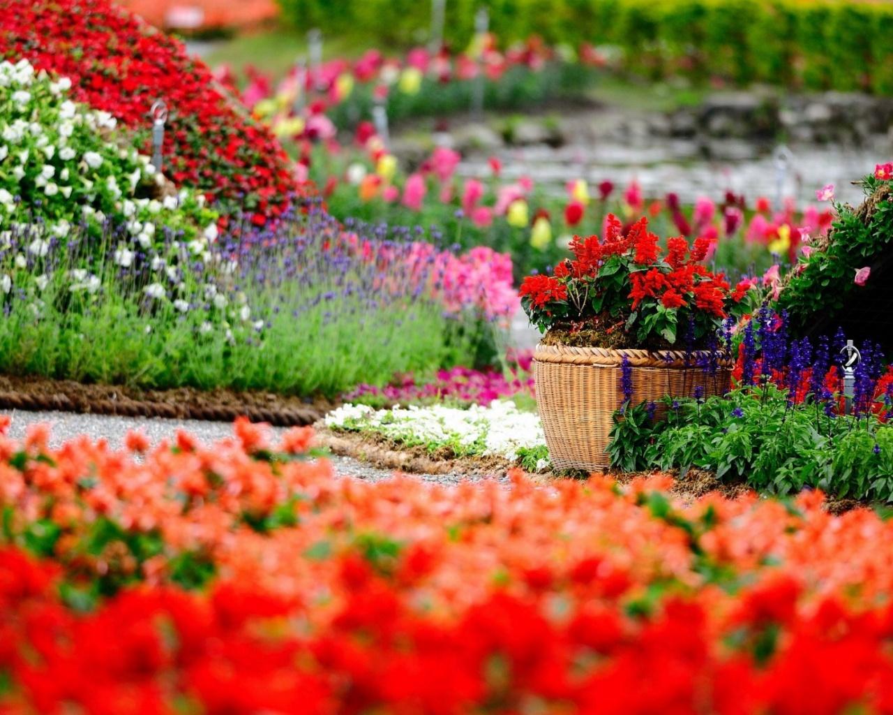 1280x1024 Flower Garden desktop PC and Mac wallpaper