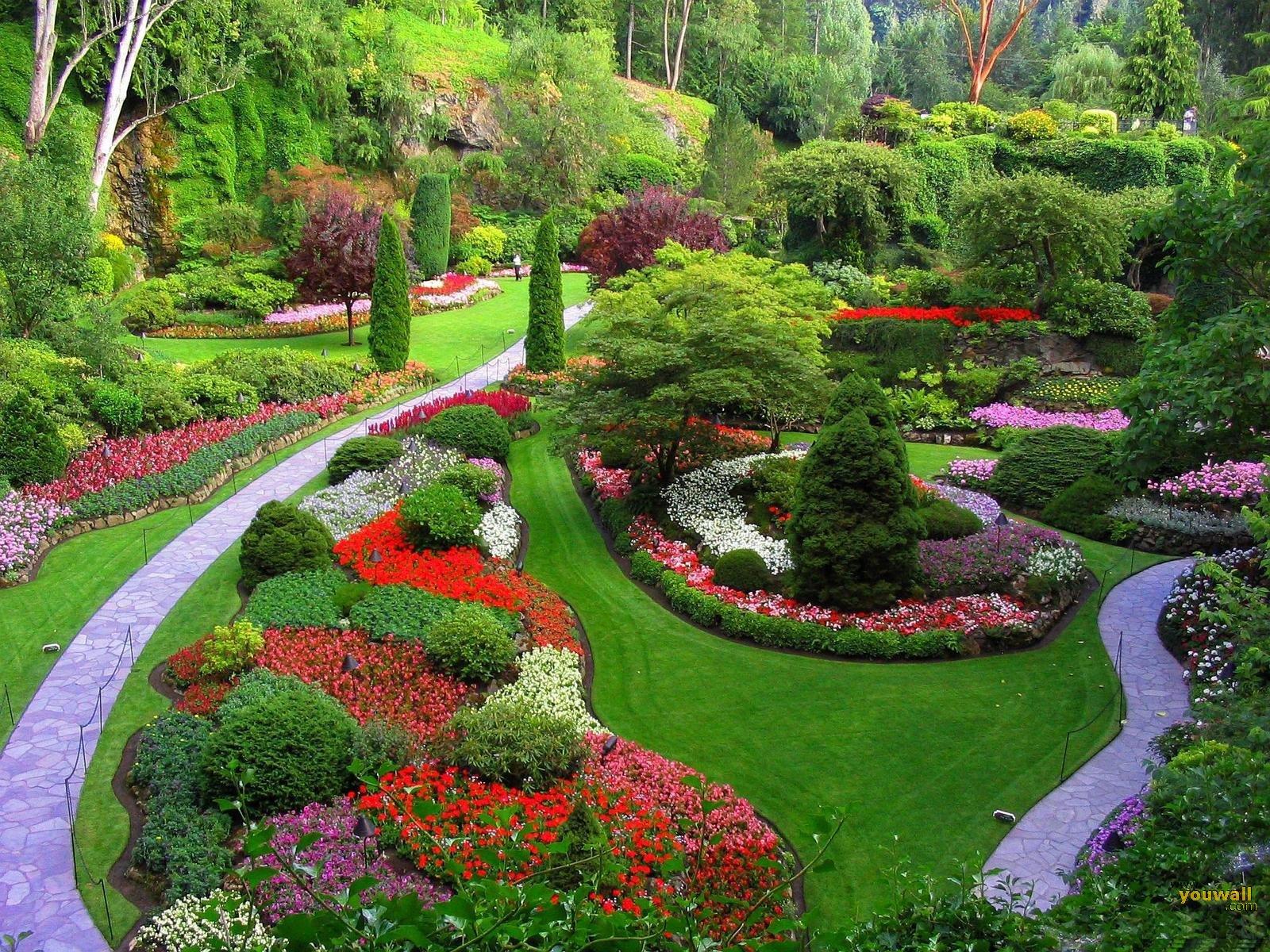 1600x1200 Rose garden wallpaper, rose wallpaper 2 Travel Wallpaper