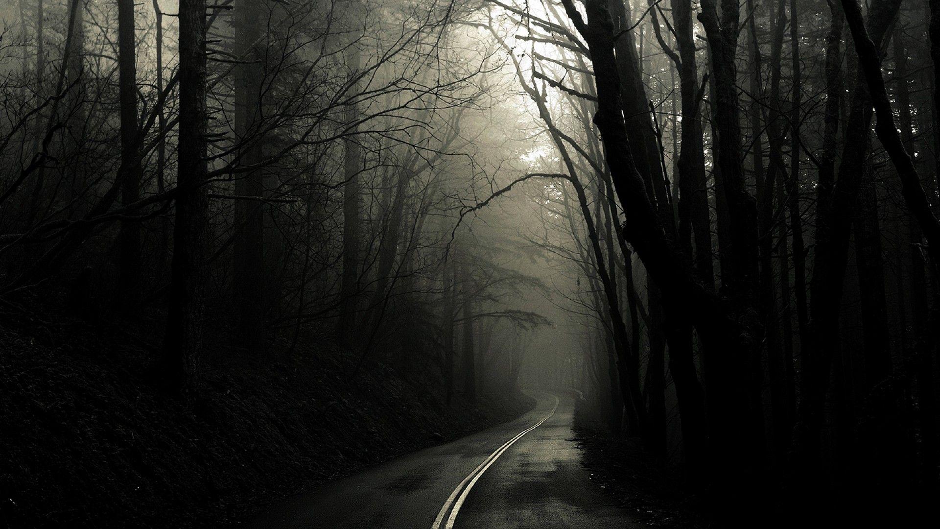 1920x1080 Misty Forest Road Wallpaper