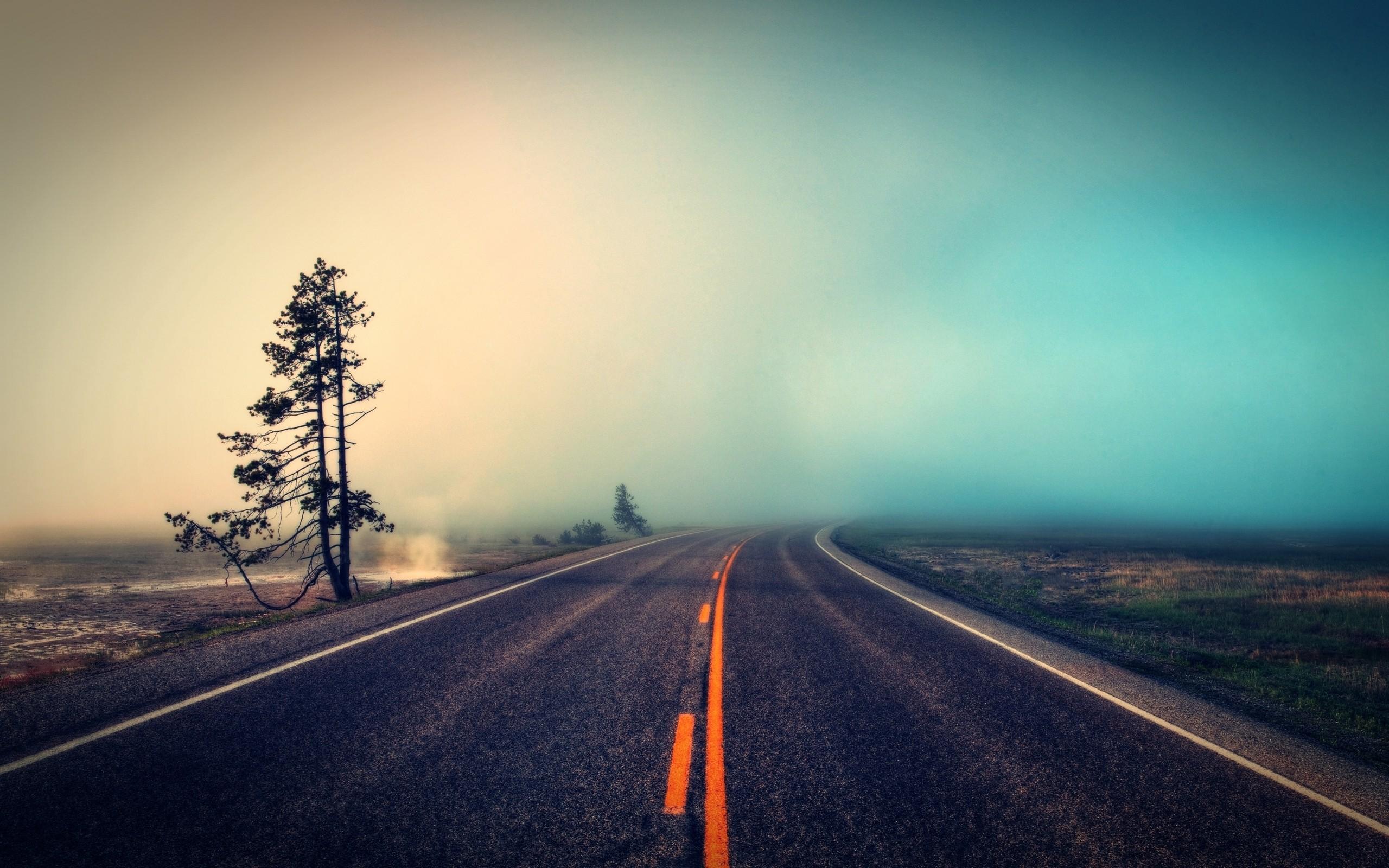 2560x1600 Foggy road