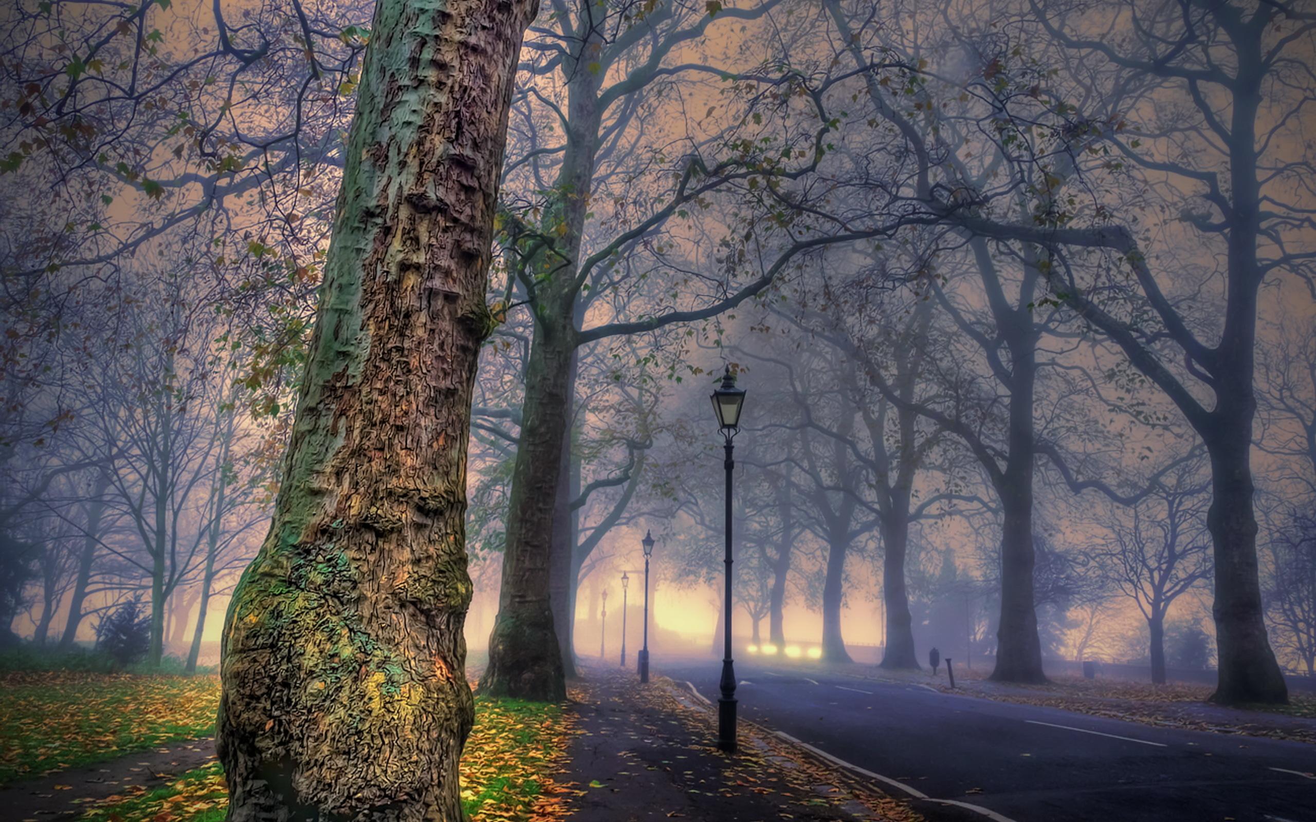 2560x1600 Foggy Street HD Wallpaper