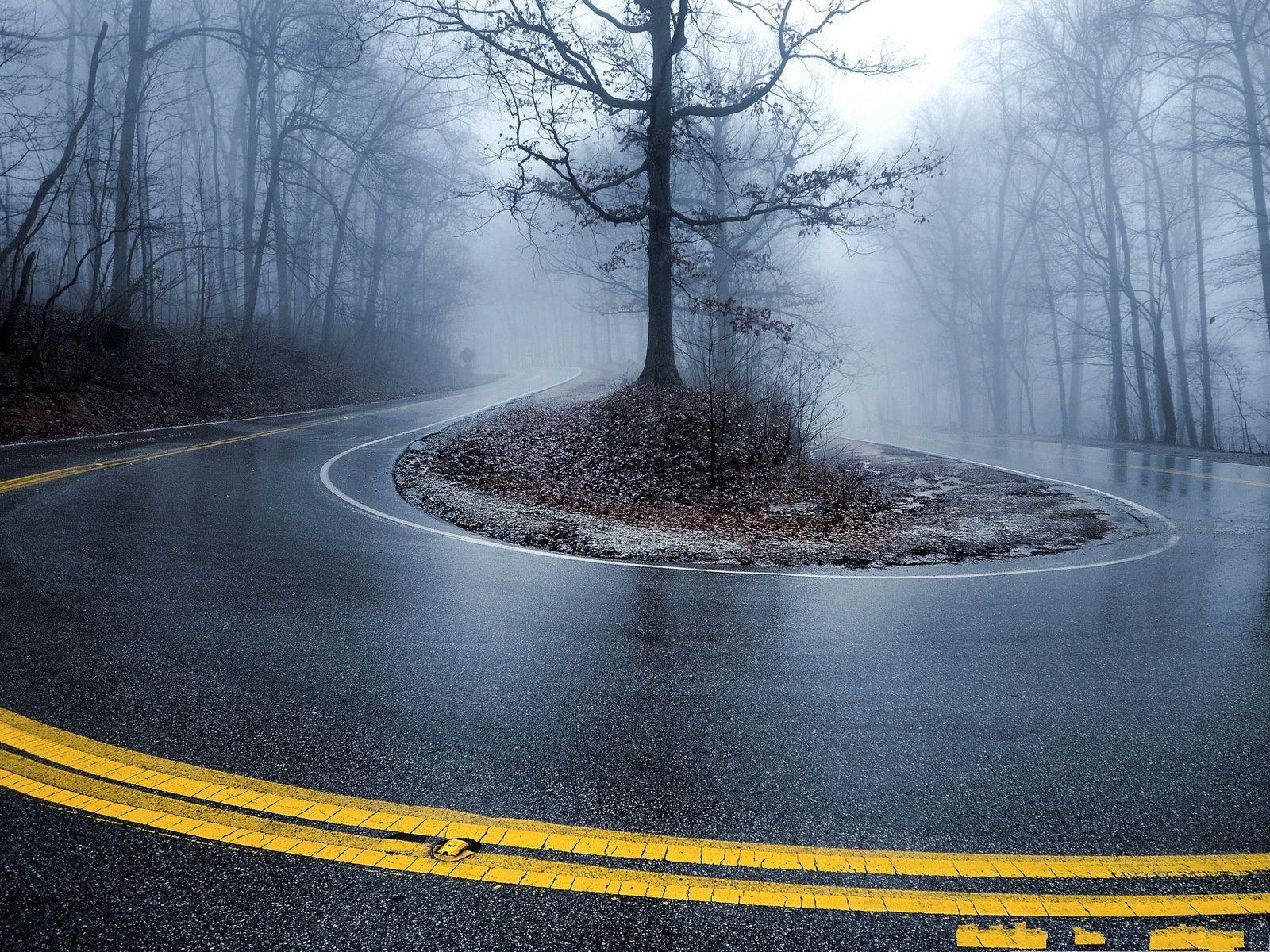 1600x1200 Foggy ideas. foggy, glade creek grist mill, beautiful bird wallpaper