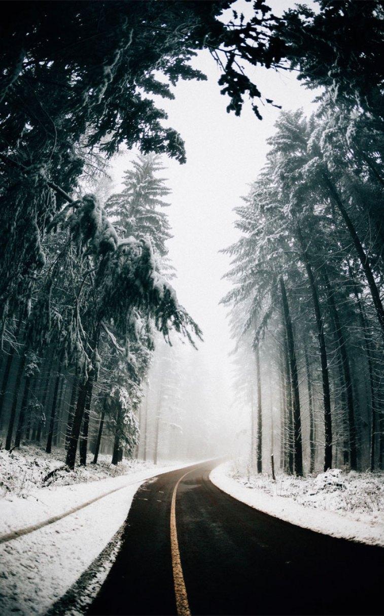 757x1214 Foggy on the winter road Wallpaper