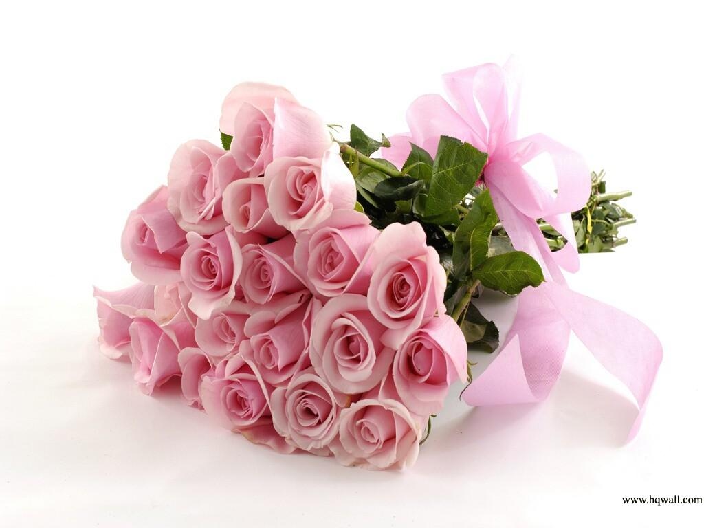 1024x768 Best Of Beautiful Bokeh Of Flowers Image. Top Collection of different types of flowers in the image HD