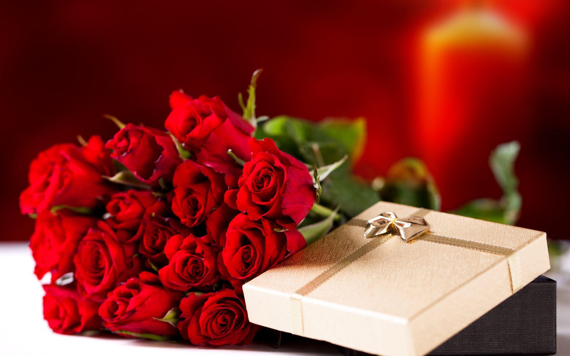 1920x1200 Red Rose Bokeh Wallpaper