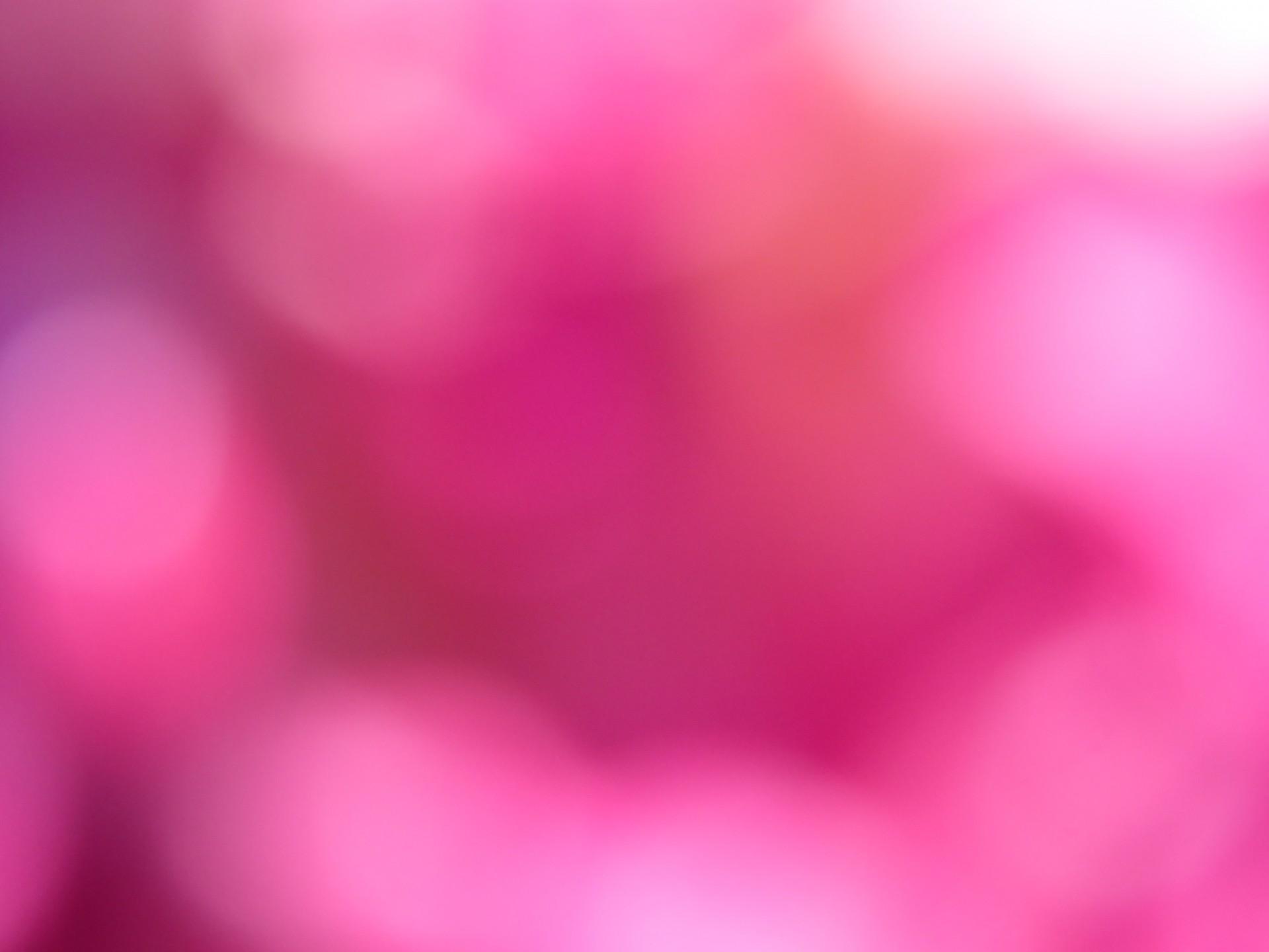 1920x1440 Pink Bokeh Wallpaper HD 18221