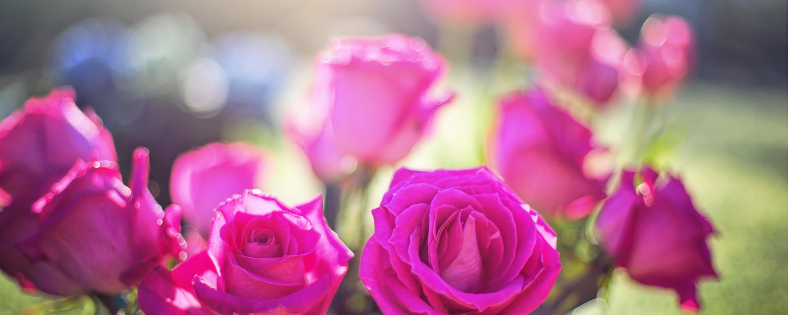 2560x1024 Desktop Wallpaper Pink Roses, Flowers, Bokeh, HD Image, Picture, Background, Vlr1ho