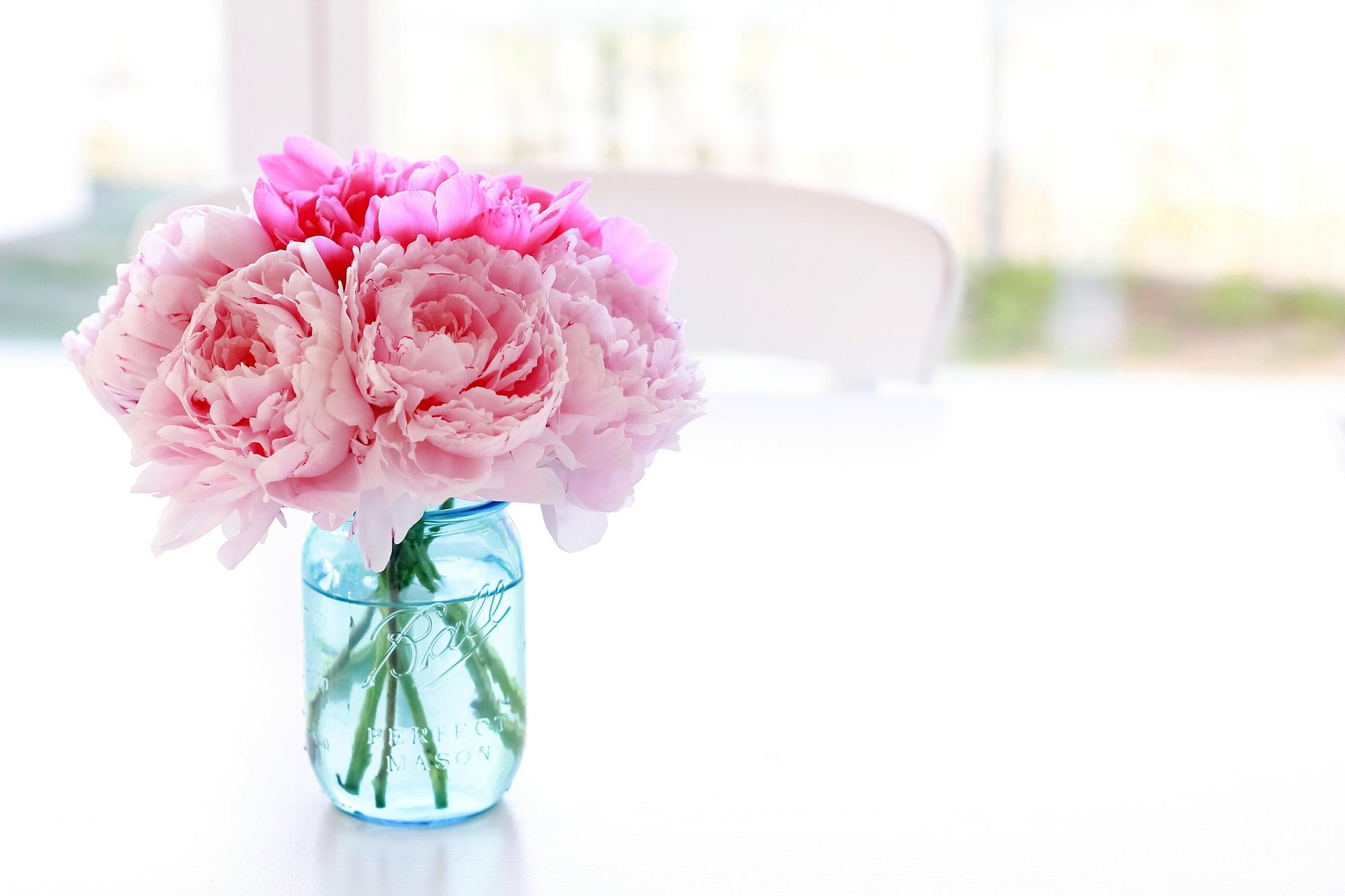 2000x1333 Free download Peonies Jar Pink color Flowers bouquet bokeh wallpaper [2000x1333] for your Desktop, Mobile & Tablet. Explore Peony Flower Wallpaper. Peony Wallpaper, Peony Wallpaper Border, Pink Peony Wallpaper
