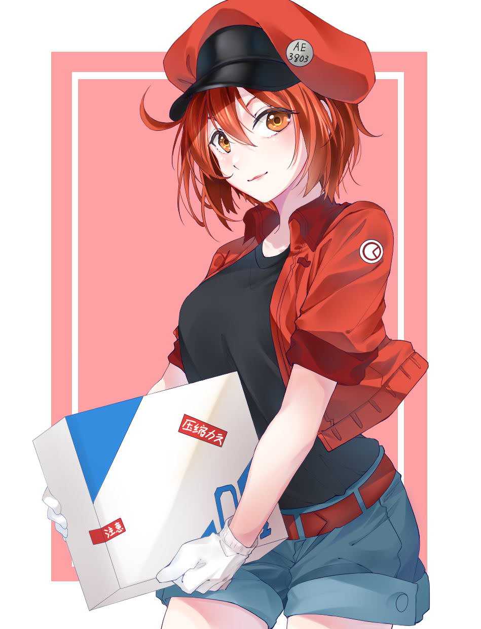 949x1240 Red Blood Cell Wallpaper Free HD Wallpaper
