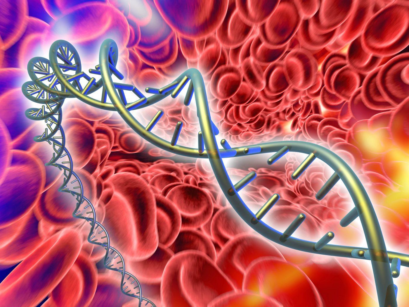 1400x1050 Epigenetic Regulation Key to Daily Formation of Billions of Blood Cells