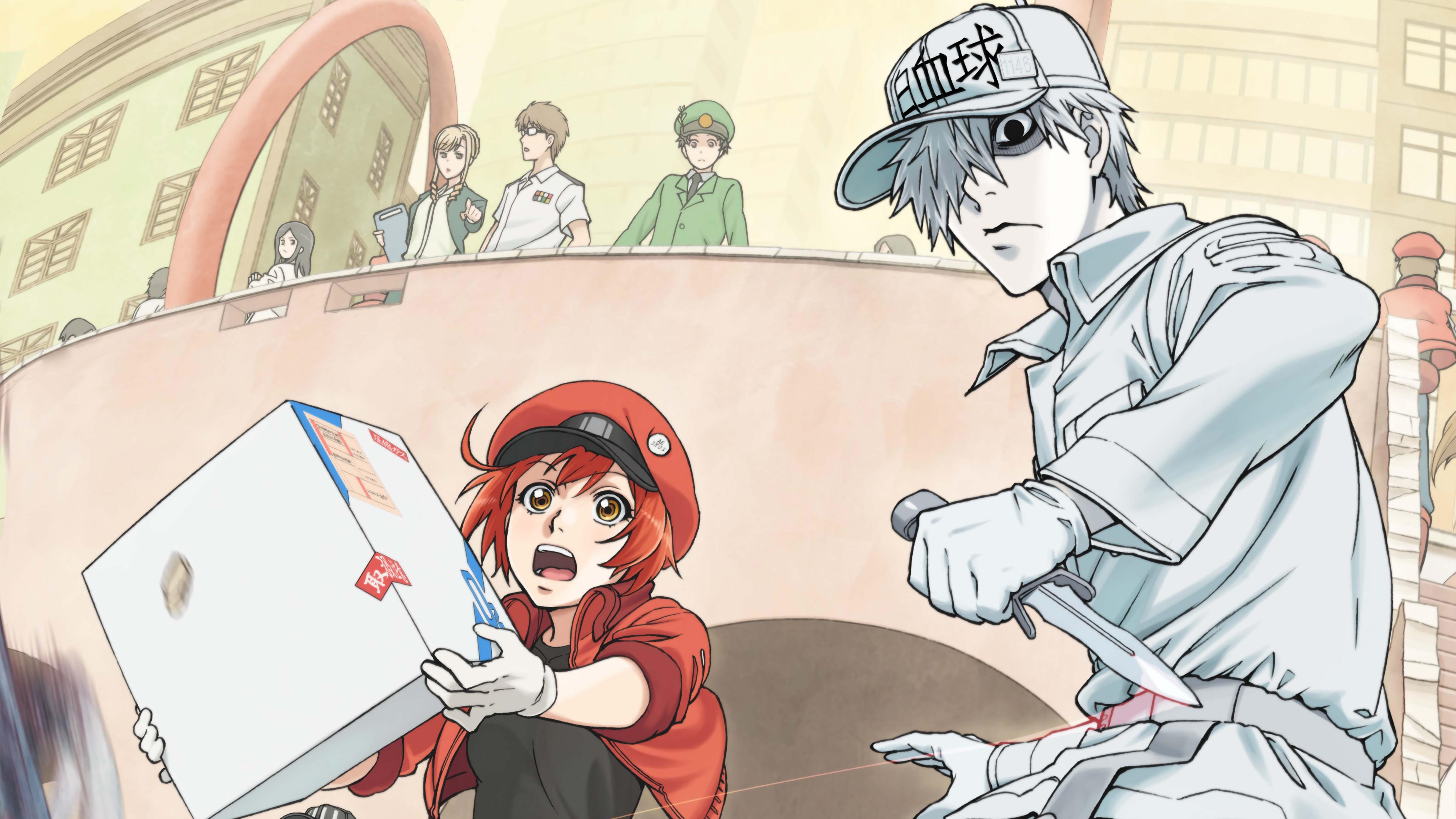 7680x4320 Red Blood Cell and White Blood Cell Cells at Work! Hataraku Saibou 8K
