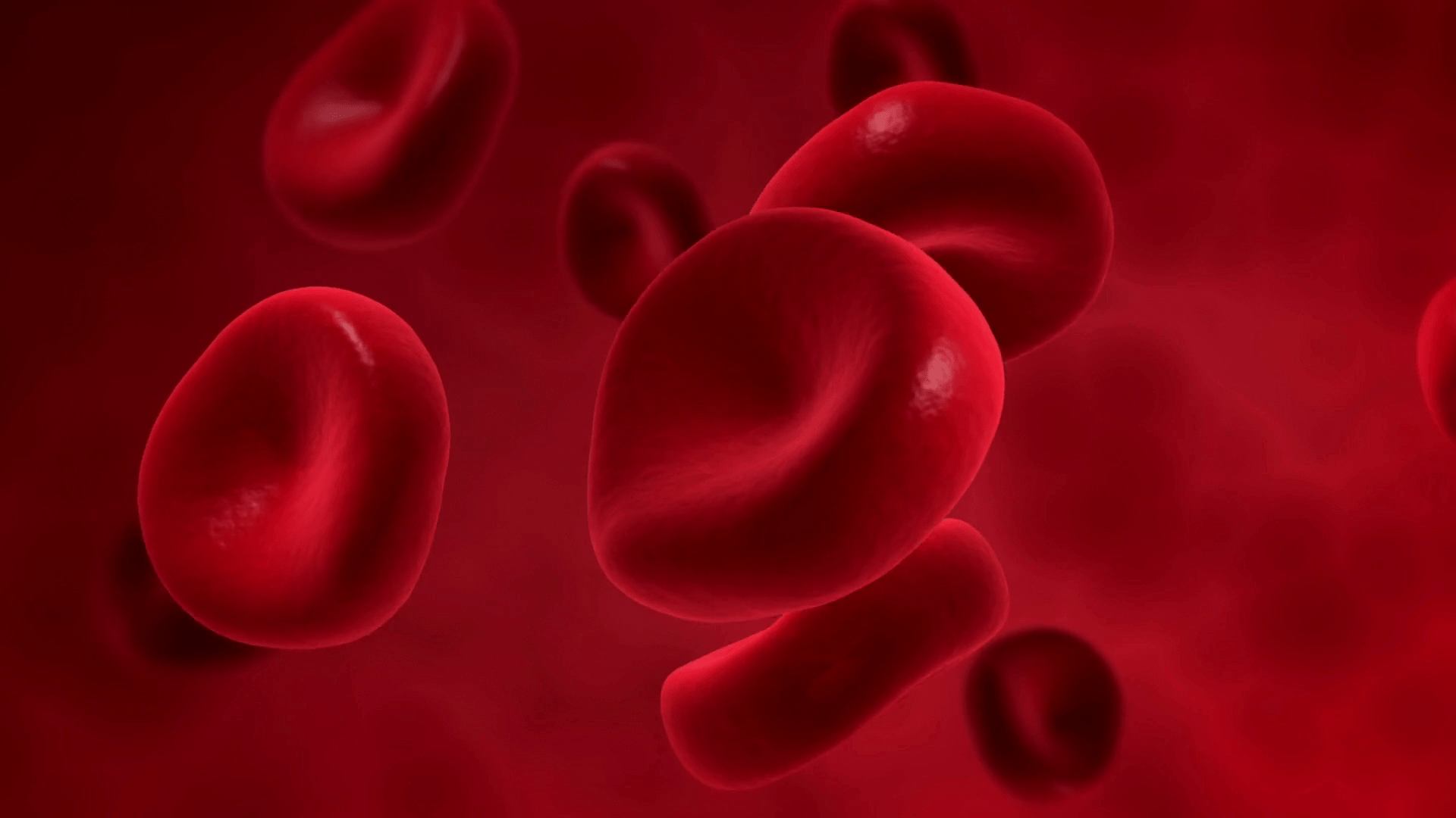 Red Blood Cells Wallpapers - Top Free Red Blood Cells Backgrounds ...