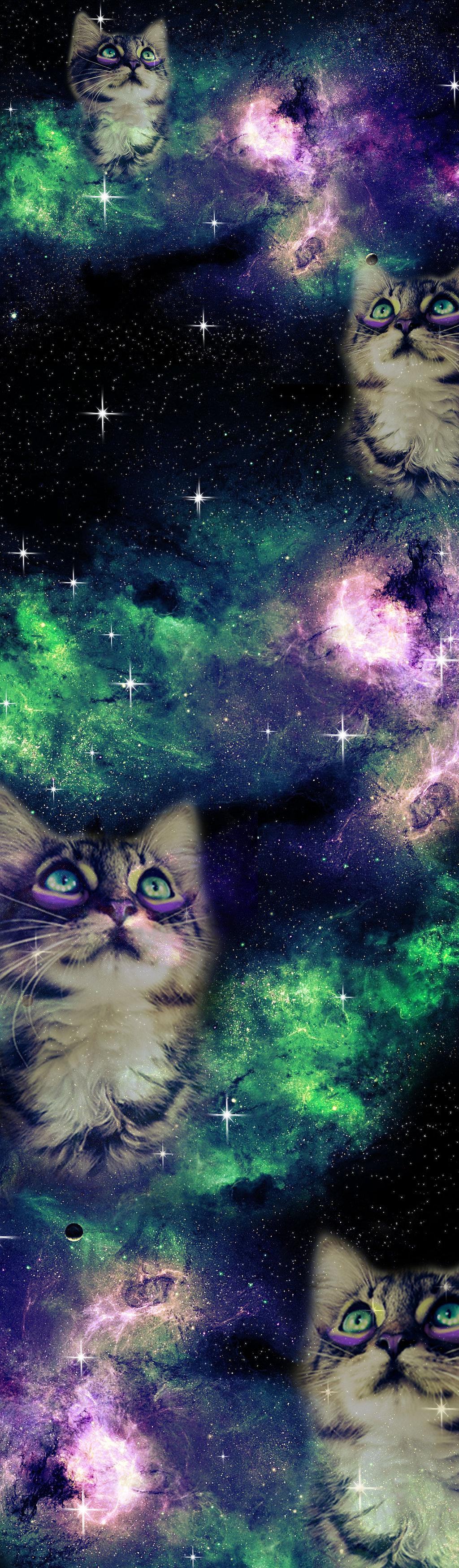 1024x3498 Galaxy Cat Wallpaper Windows 8