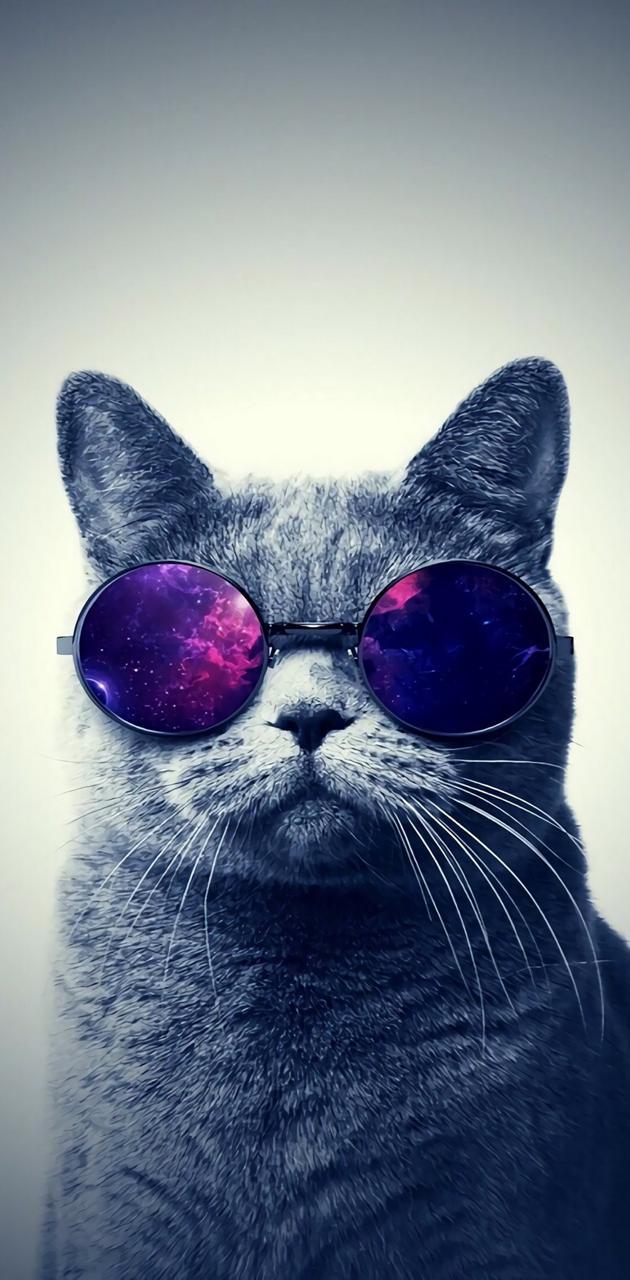 630x1280 Galaxy cat wallpaper