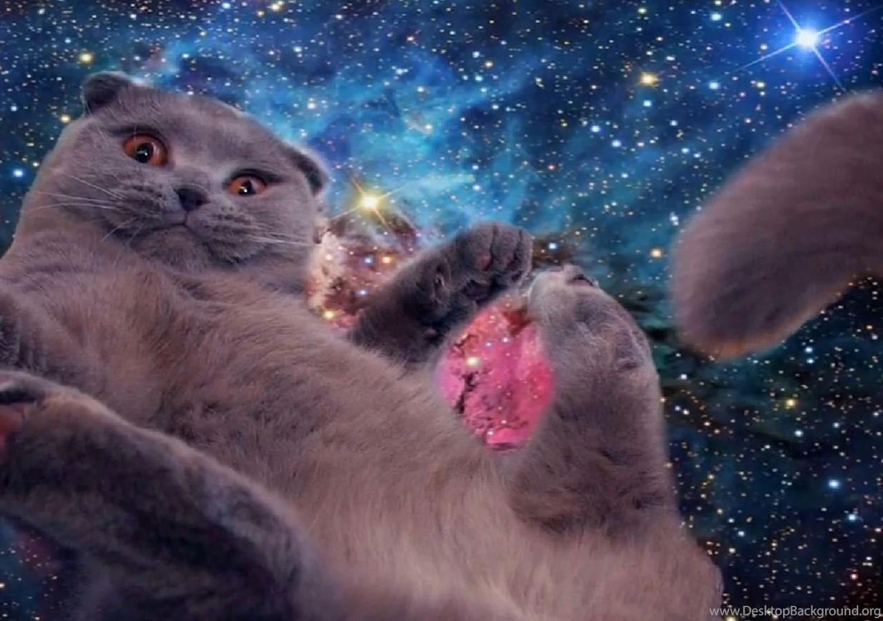 Galaxy Cats Wallpapers - Top Free Galaxy Cats Backgrounds - WallpaperAccess