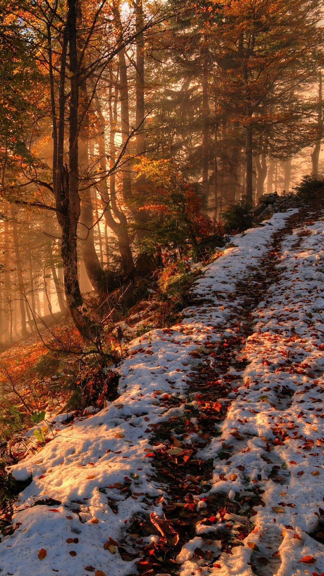 Autumn Snow Wallpapers - Top Free Autumn Snow Backgrounds - WallpaperAccess