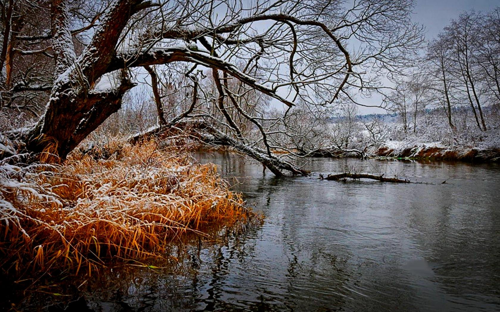 Осень тает. Поздняя осень. Ноябрь природа. Природа поздняя осень. Поздняя осень речка.