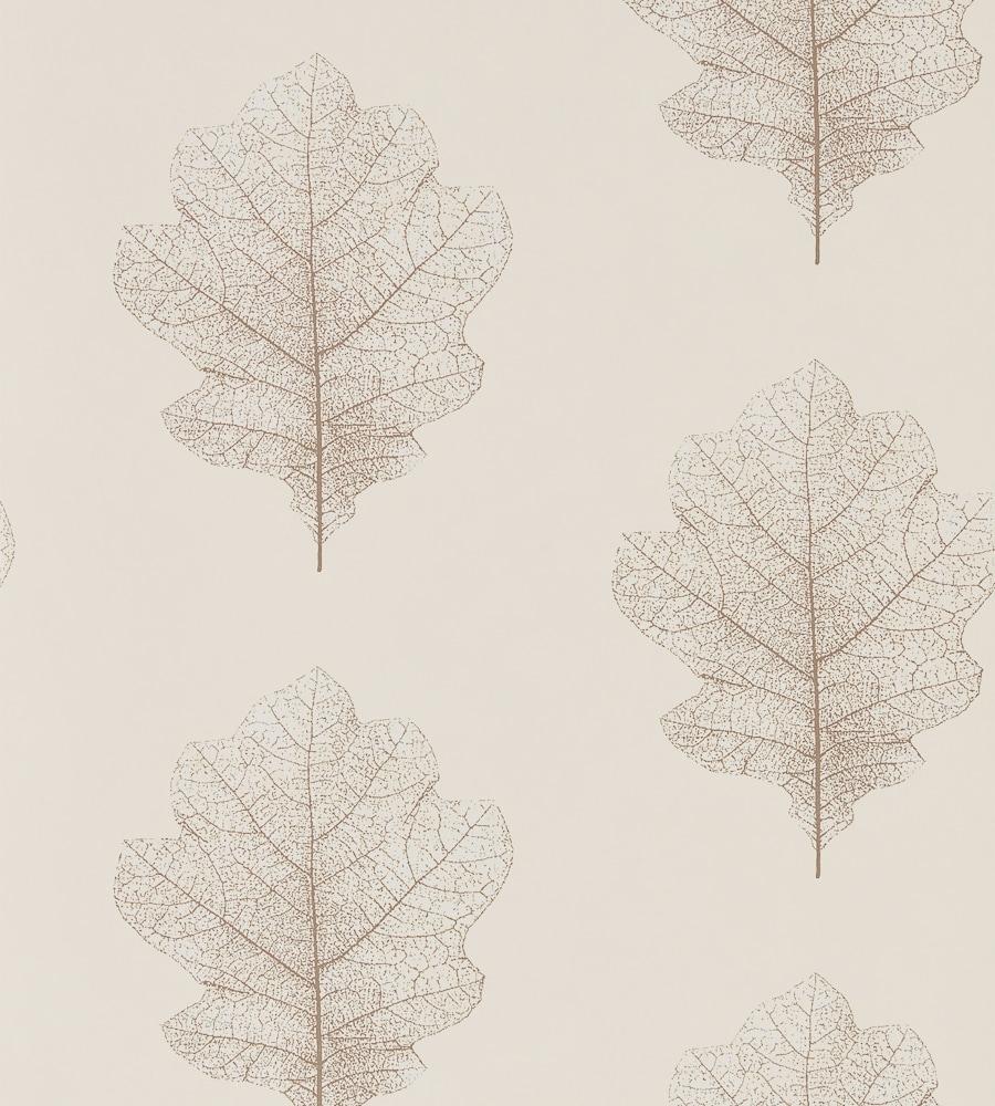 Oak Leaf Wallpapers - Top Free Oak Leaf Backgrounds - WallpaperAccess