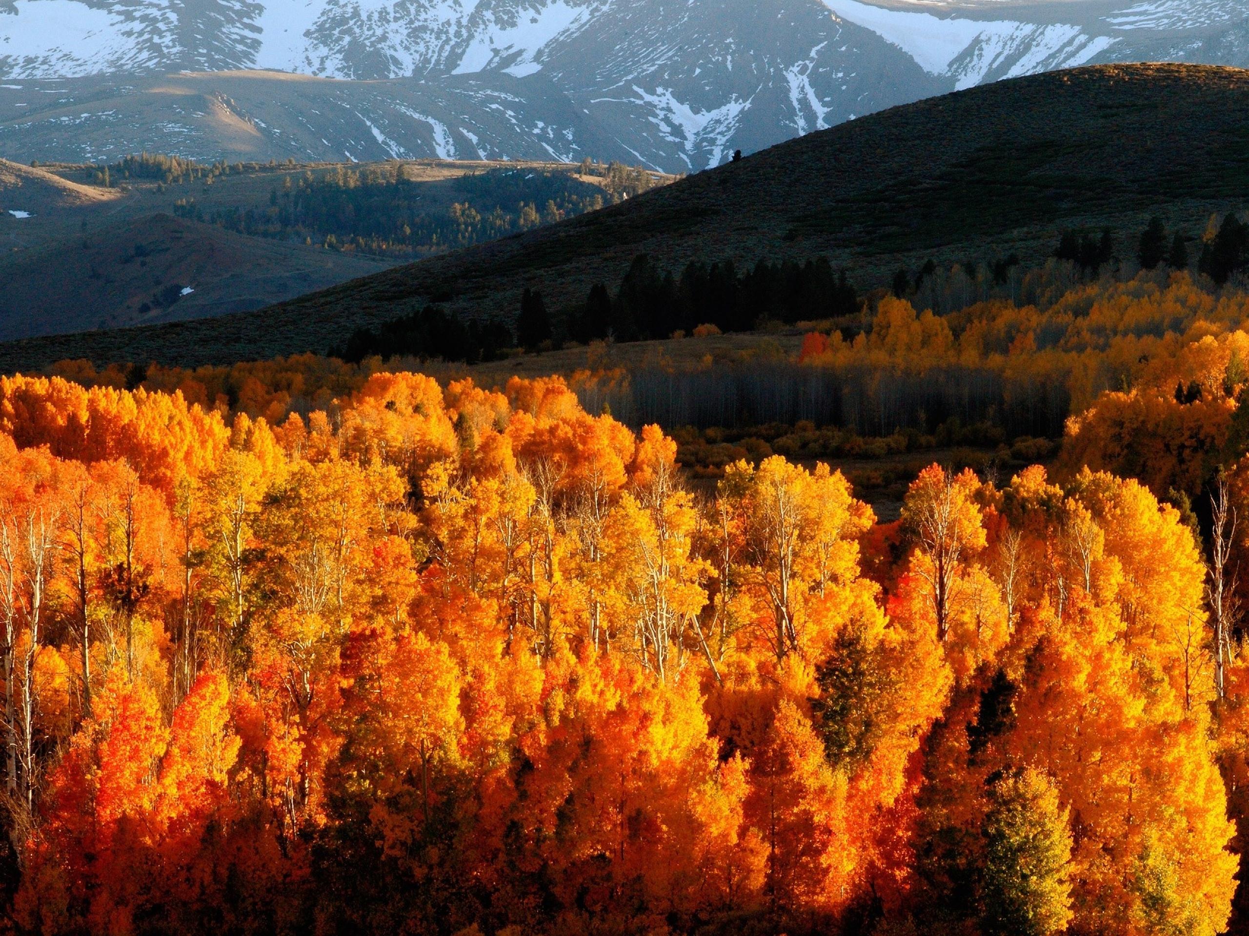 2560x1920 Autumn Forest Hills & Snow wallpaper. Autumn Forest Hills & Snow
