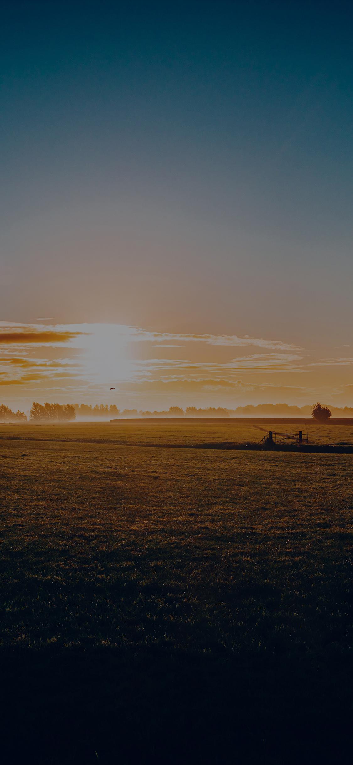 1125x2436 iPhone X wallpaper. sunny morning farm peace nature dark