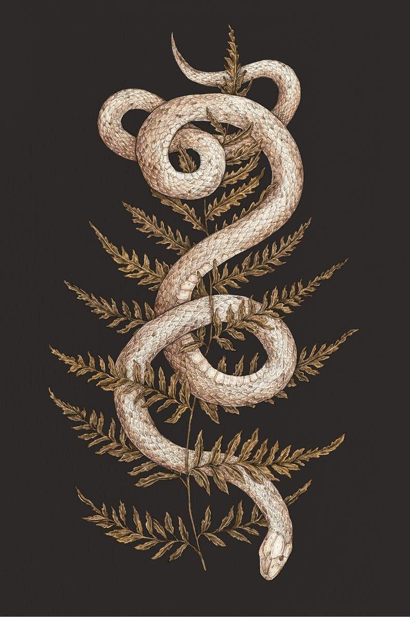 Snake Art Wallpapers - Top Free Snake Art Backgrounds - WallpaperAccess