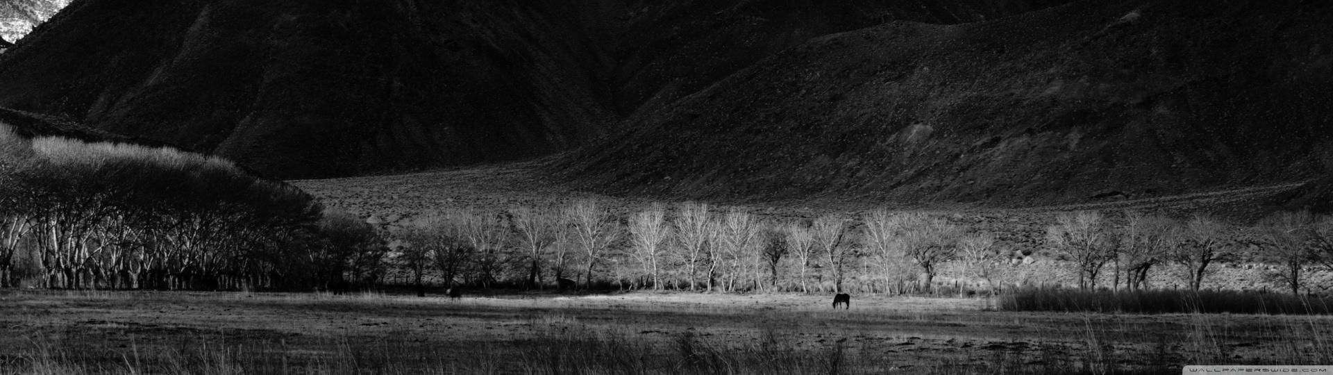 1920x540 Black And White Winter Landscape Ultra HD Desktop Background Wallpaper for : Multi Display, Dual Monitor : Tablet