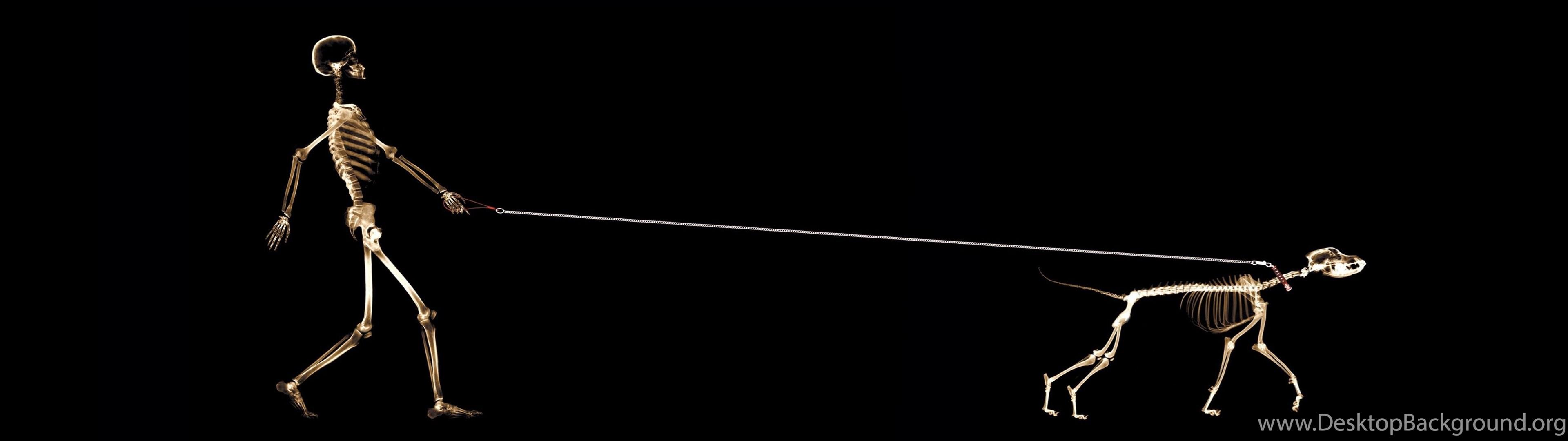 3840x1080 Dual Screen Wallpaper HDWPlan Desktop Background
