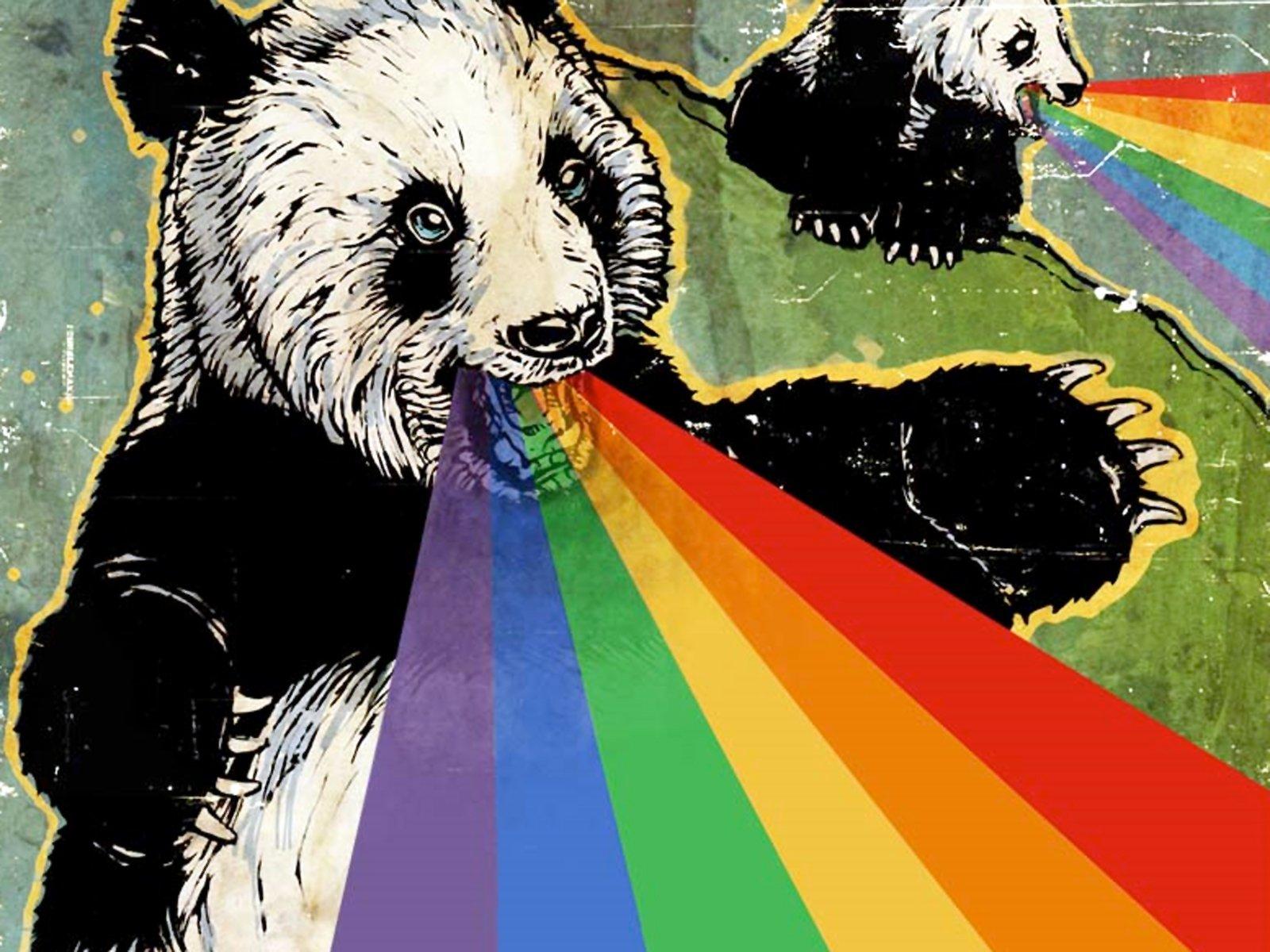 1600x1200 Bear HD Wallpaper and Background Image