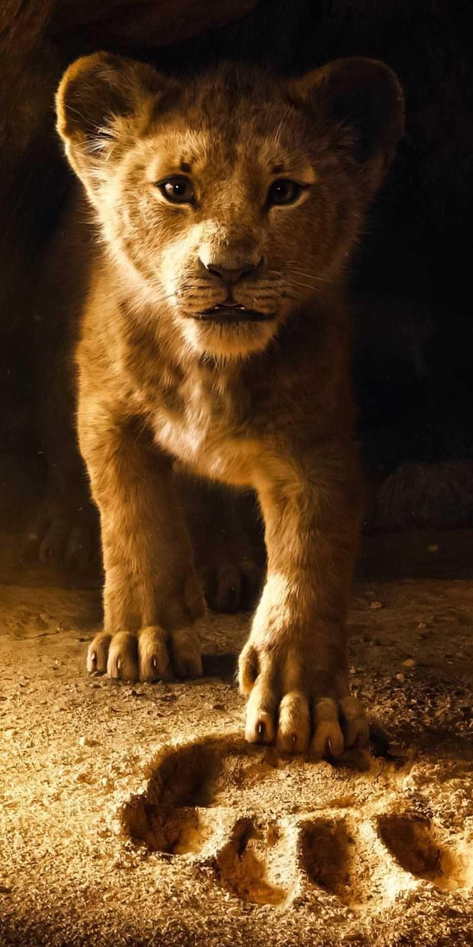 934x1868 Lion King 2019 Baby