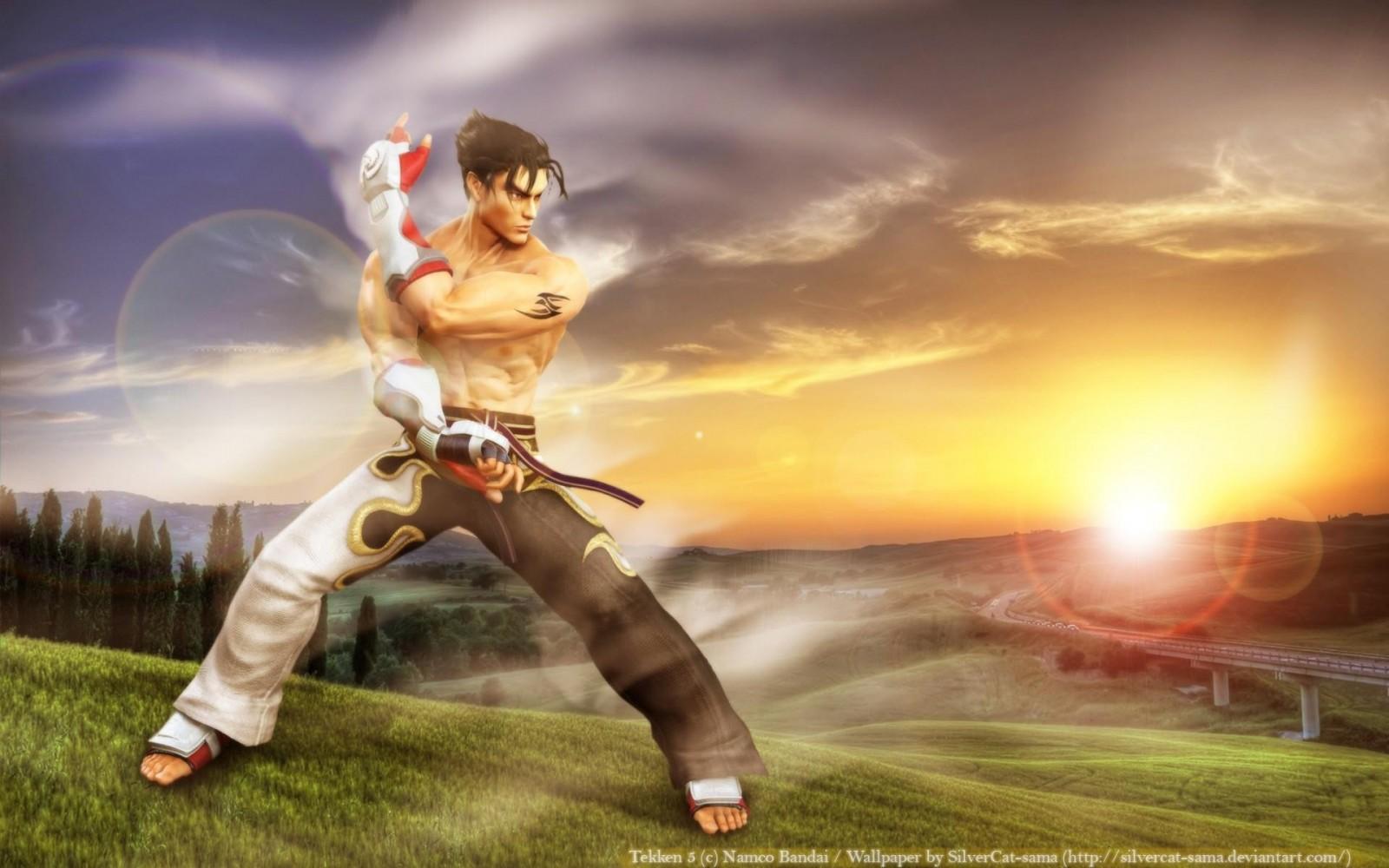 1600x1000 1600x1280 Jin Kazama, Tekken. Mocah HD Wallpaper