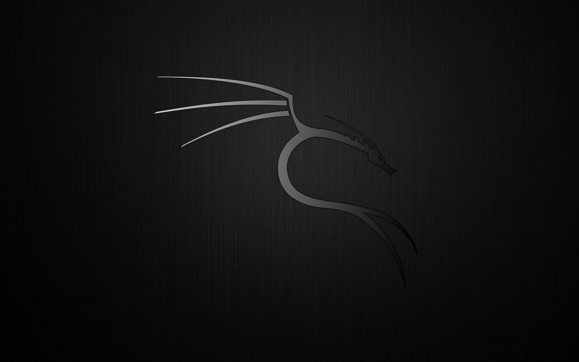Kali Linux 4k Wallpapers - Top Free Kali Linux 4k Backgrounds -  WallpaperAccess