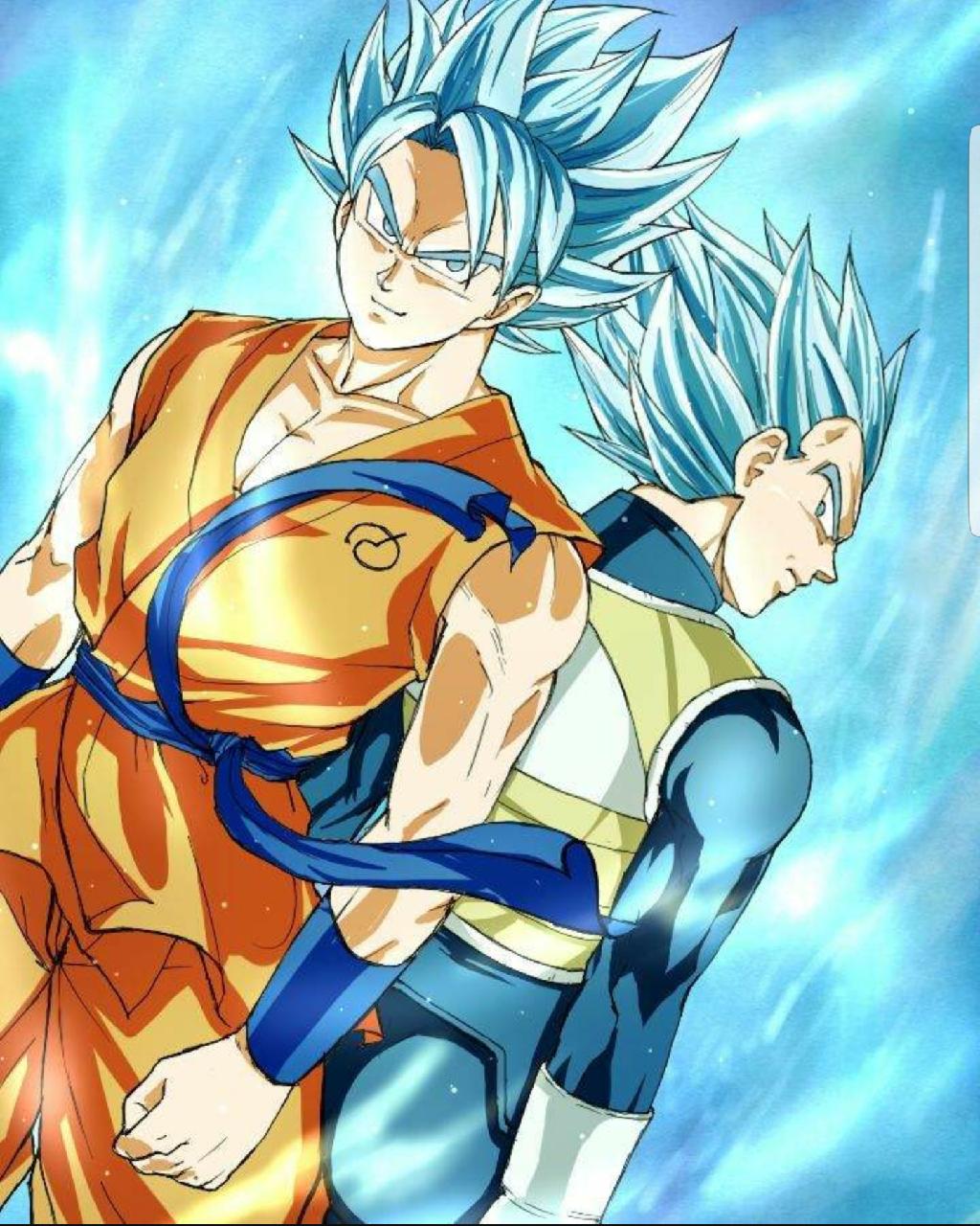 1024x1280 Goku And Vegeta Phone Wallpaper