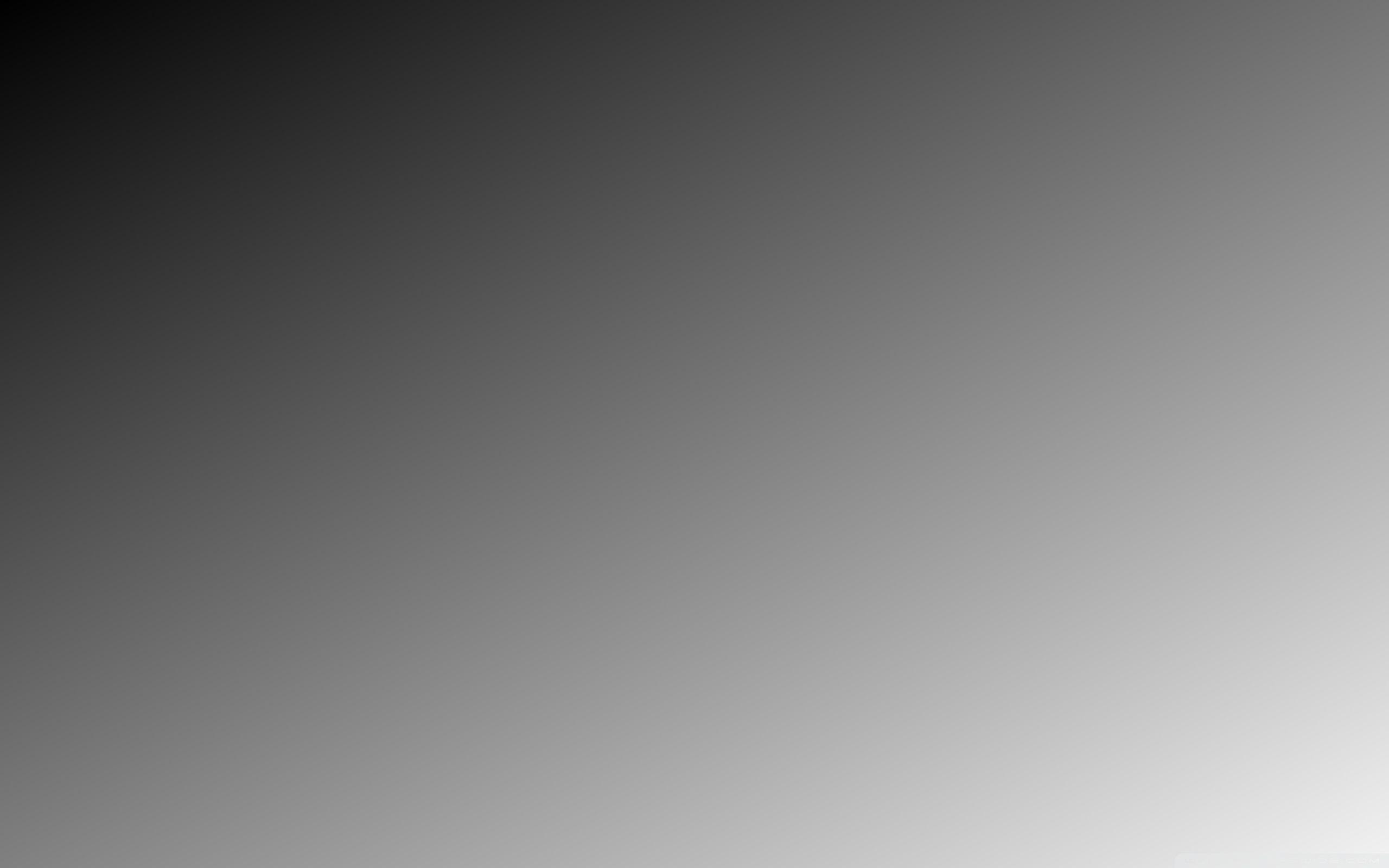2560x1600 Download 32K HD Wallpaper