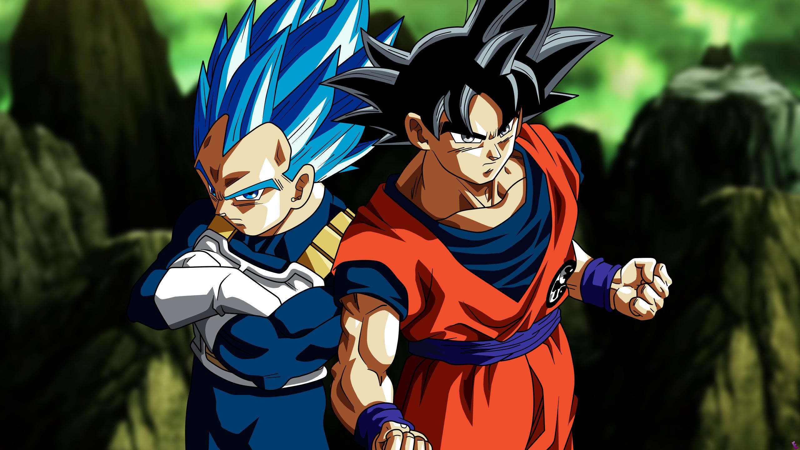 2560x1440 Son Goku Vegeta In Dragon Ball Super 5k 1440P Resolution HD 4k Wallpaper, Image, Background, Photo and Picture