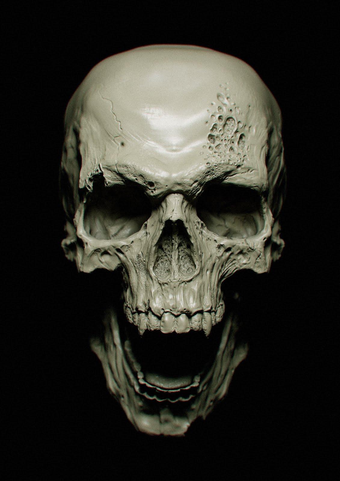 1131x1600 Skull wallpaper, CGI, HQ Skull pictureK Wallpaper 2019