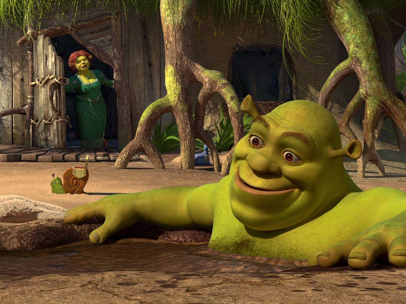 Shrek Face 51300 px, Shrek Meme, HD wallpaper