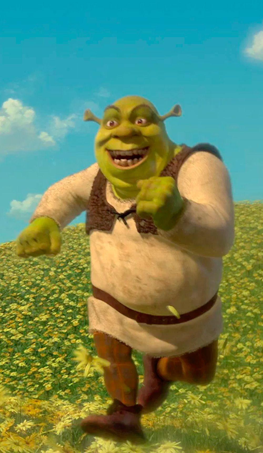 1000x1718 Shrek 2 (2014). Shrek (2). Shrek, Shrek memes, Fiona shrek
