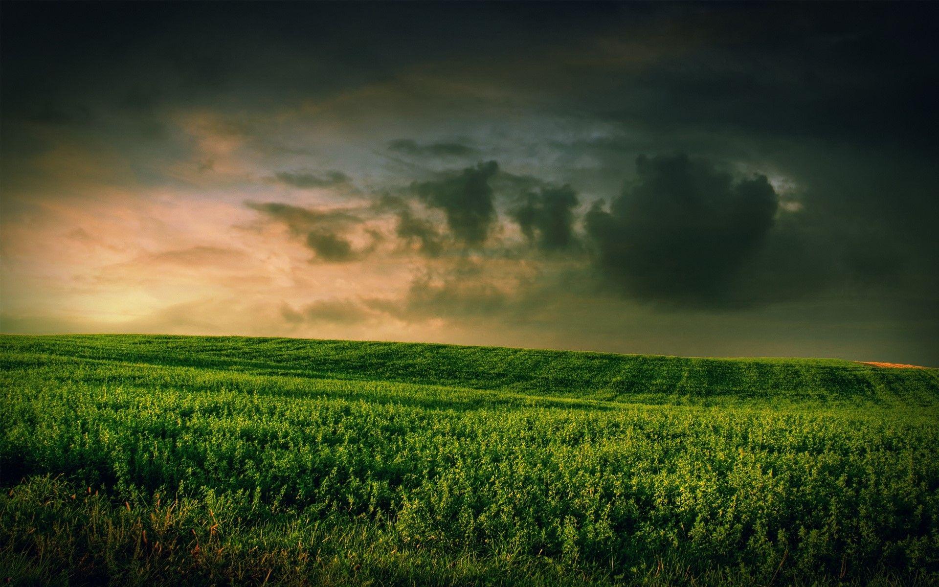 1920x1200 Field, Grass, Rain, Clouds, Wind, Weather wallpaper and background