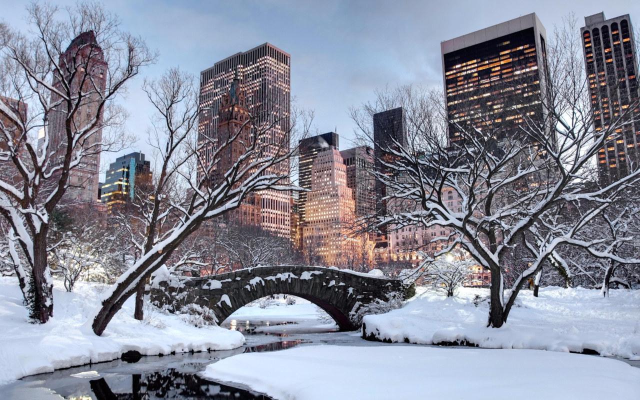 1280x800 Snow, winter, united states, new york city, tree, sky, building wallpaper • Wallpaper For You HD Wallpaper For Desktop & Mobile