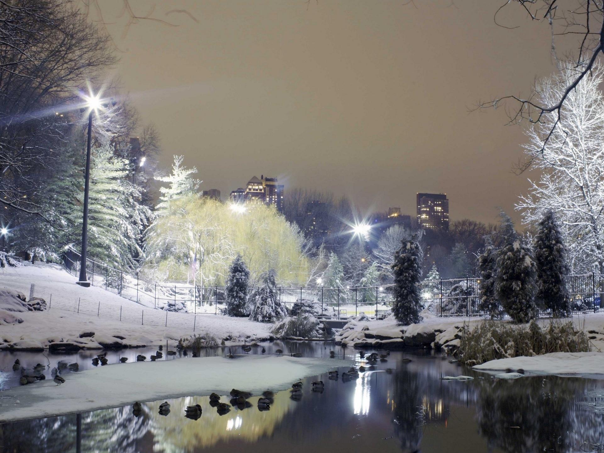 1920x1440 Wallpaper 4k city, park, trees, winter, snow, lights 4k Wallpaper